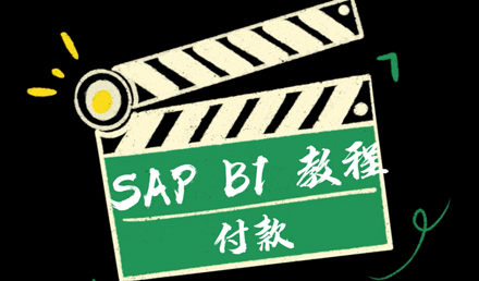 SAP Business One——付款