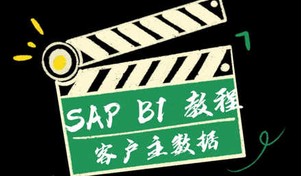 SAP Business One —— 客戶(hù)主數(shù)據(jù)